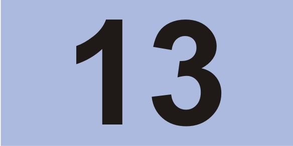 13 13